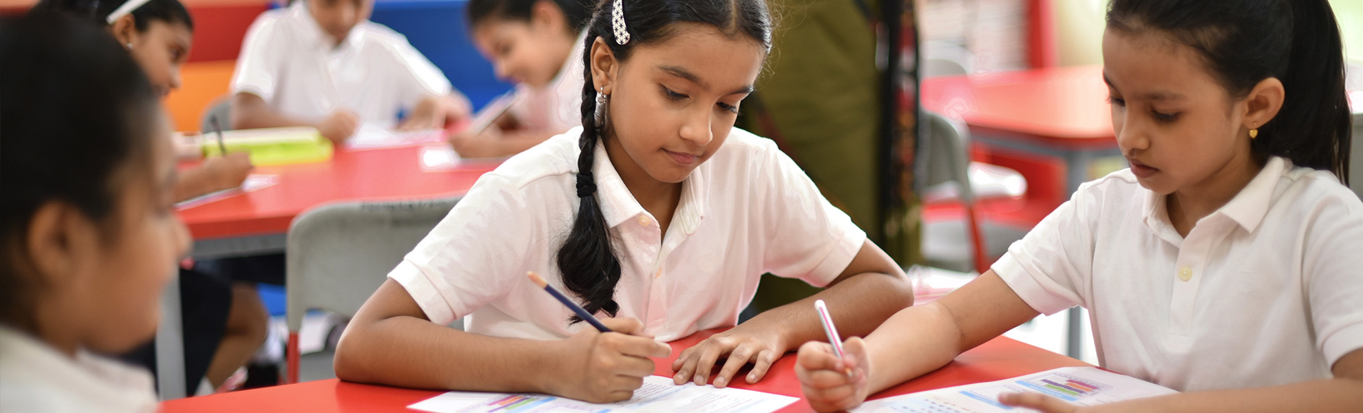 What is an EWS Certificate? A Complete Guide for Students and Parents - Ampersand Group